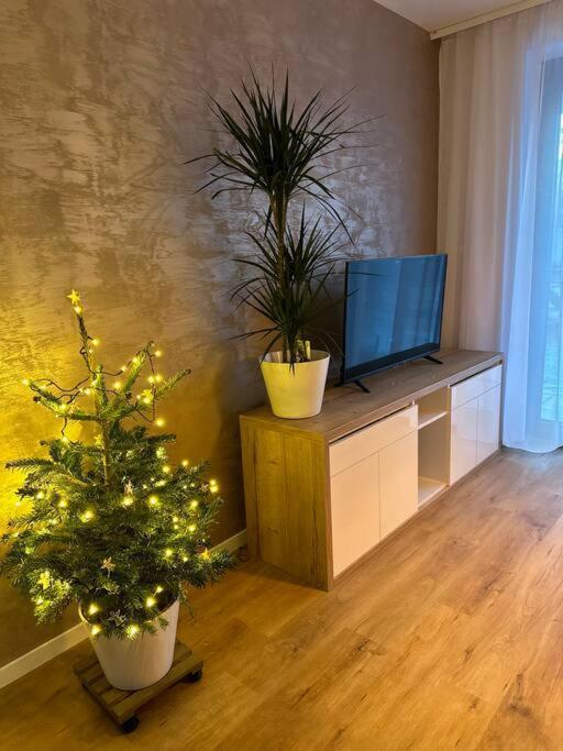 Apartman Betula-Apartman V Srdci Vysokych Tatier Vysoké Tatry Kültér fotó